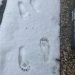Fußspuren im Schnee vom Barfußlaufen