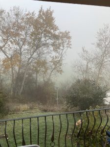 1 von 12 am 12. November 2021 Blick vom Balkon in den morgendlichen Nebel, es sind gerade so noch die Bäume auf der anderen Straßenseite zu sehen.